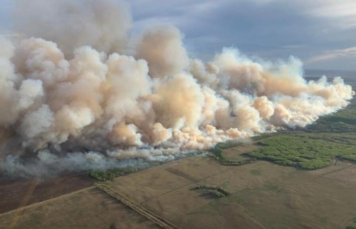 La contaminación del aire provocada por incendios está relacionada con 1,5 millones de muertes al año en todo el mundo