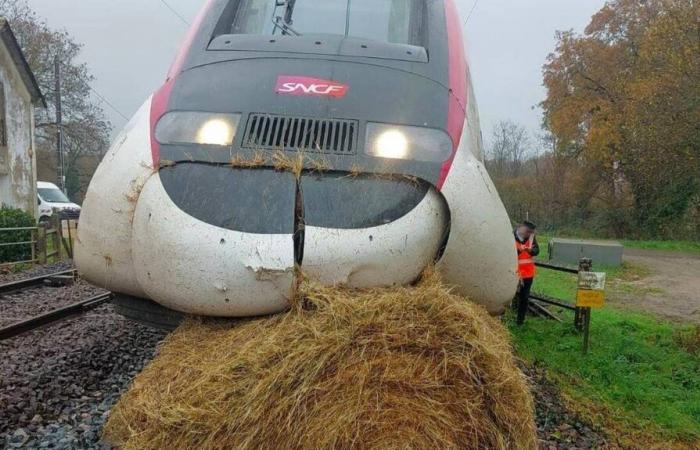 ¿Cómo pudo un fardo de paja llegar a la vía y dañar un TGV cerca de Nantes?