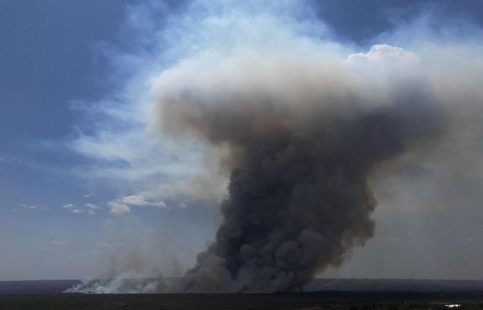 La contaminación del aire provocada por incendios provoca 1,5 millones de muertes al año, según un estudio publicado en la revista “The Lancet”