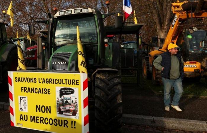 Miembros de la JA de l’Aude bloquean el puerto de Port-la-Nouvelle