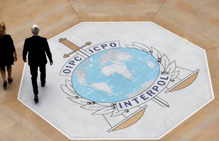 La lucha contra las estafas online alcanza récords en Interpol