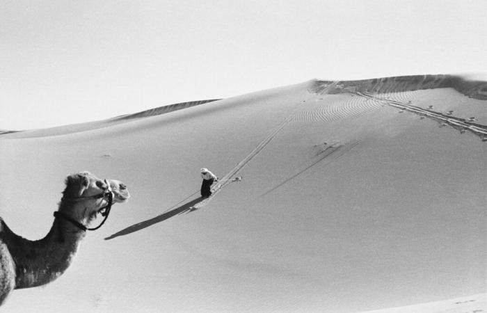 Bernard Plossu y Françoise Huguier