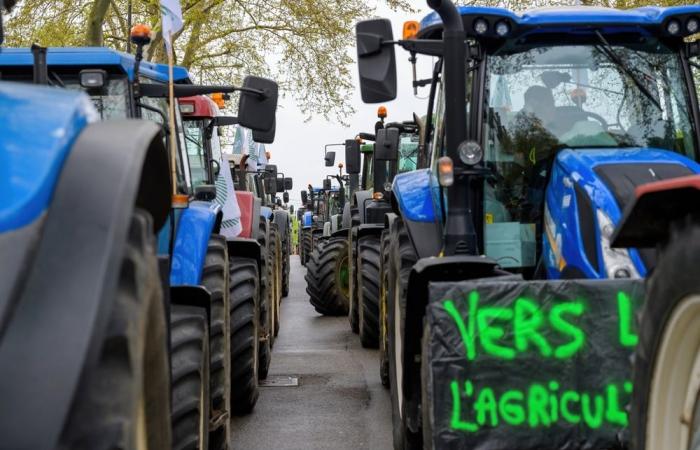 Movilización récord de agricultores en Tarn-et-Garonne