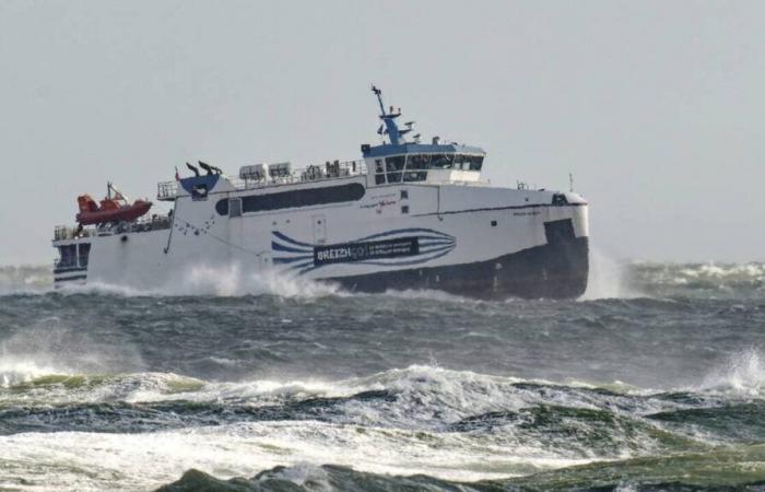 dio a luz a bordo del barco entre Groix y Lorient