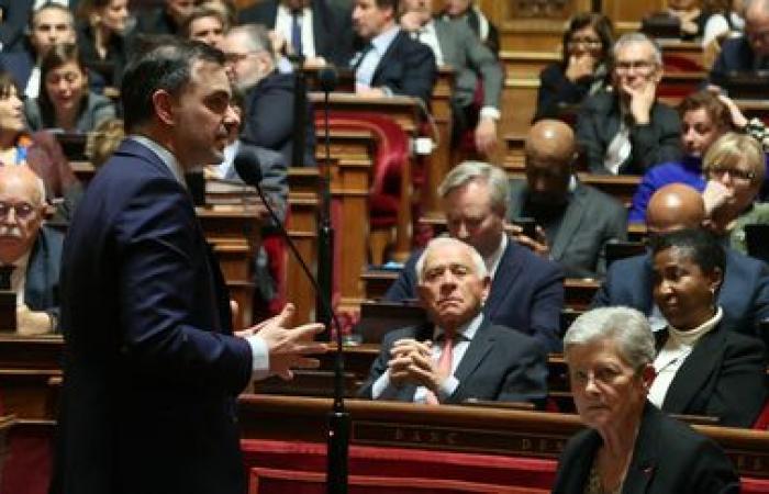 El Senado se opone al aumento de los impuestos sobre la electricidad más allá del nivel anterior a la crisis.