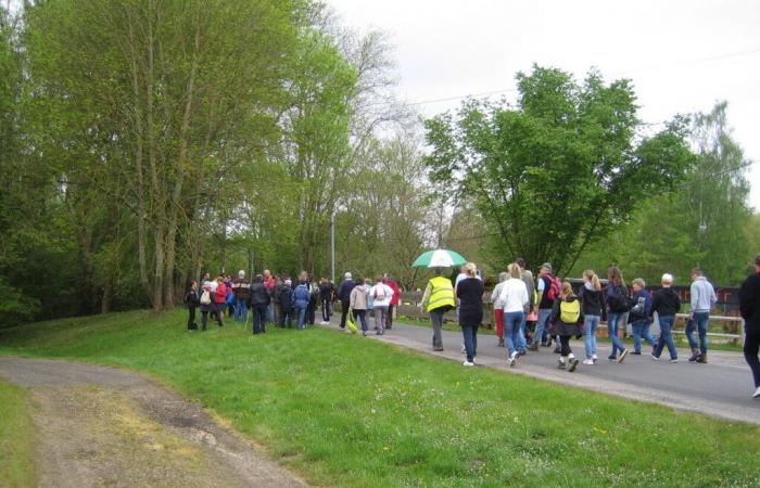 Caminatas solidarias por la Teletón