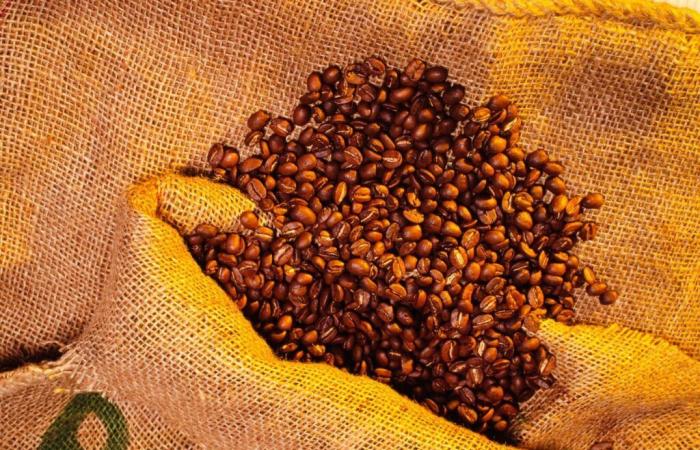 Clima, cambio de hábitos… ¿Por qué los precios del café son tan altos?