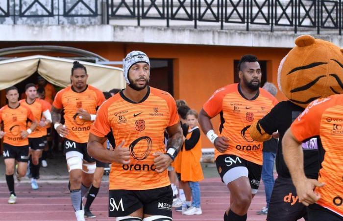 Rugby – Derby Carcassonne-Narbonne en Nacional: dos equipos y contrataciones diferentes, pero bien orientadas