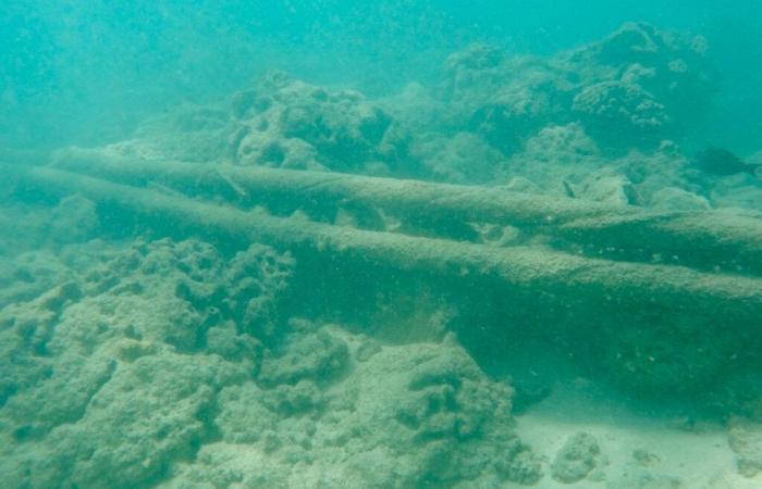 Cables submarinos saboteados en Europa: conocemos al culpable