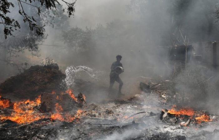 La contaminación causada por incendios mata cada año a más de 1,5 millones de personas, según un estudio – rts.ch