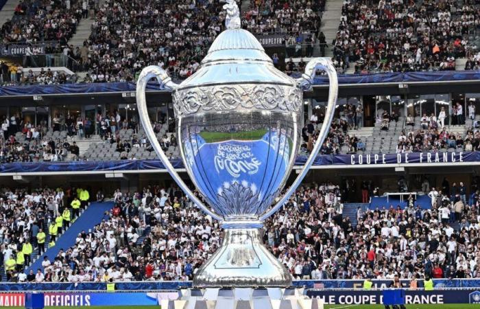 Copa de fútbol de Francia: el programa de los clubes Loira Atlántico y Vendée para la 8.ª jornada