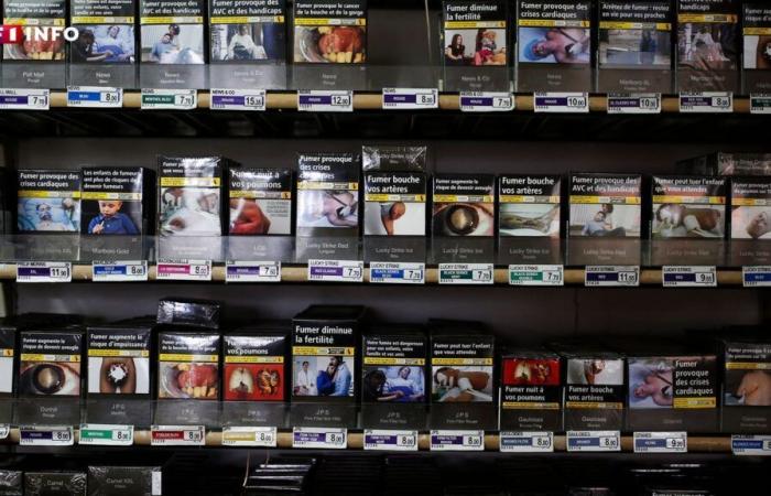 Tabaco: ¿aumentará el precio de las cajetillas de cigarrillos en 2025?