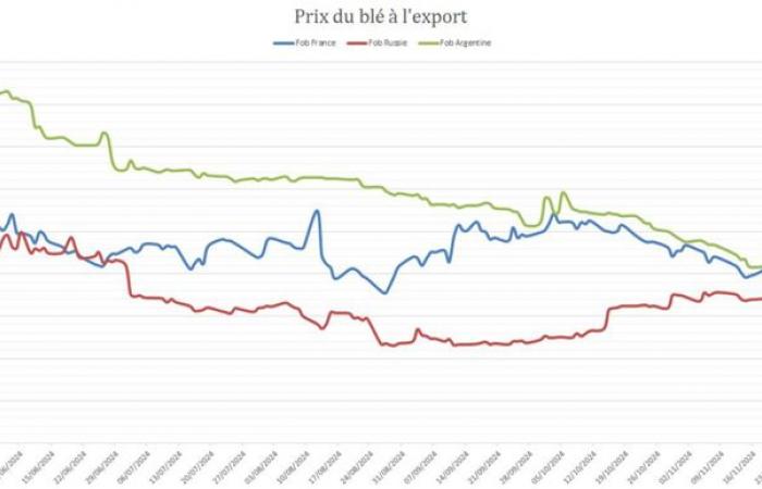 El trigo francés sigue sin ser competitivo