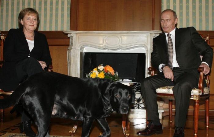 Memorias de Merkel: Putin se disculpa por el incidente con el perro