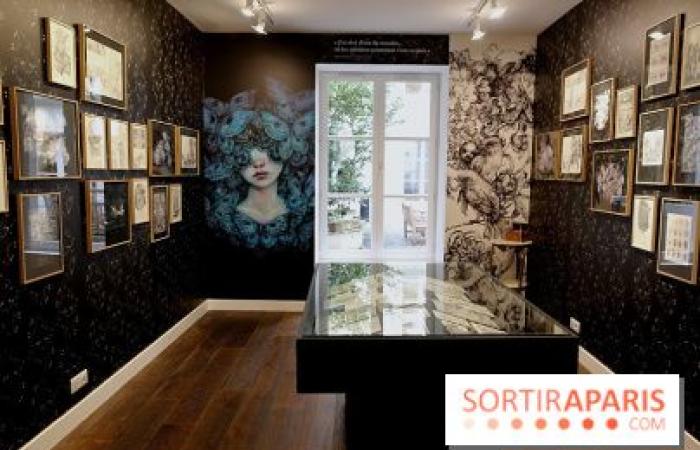 Benjamin Lacombe presenta “Papillon Noir”, la exposición gratuita en la Galerie Gallimard, nuestras fotos