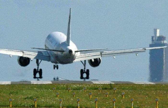 Hallada Amalka, la perra que se escapó del aeropuerto de Roissy-Charles-de-Gaulle