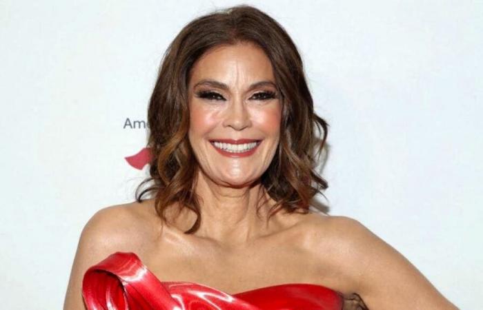 Teri Hatcher: ‘No hay nadie’: los hombres no tienen prisa por salir con ella