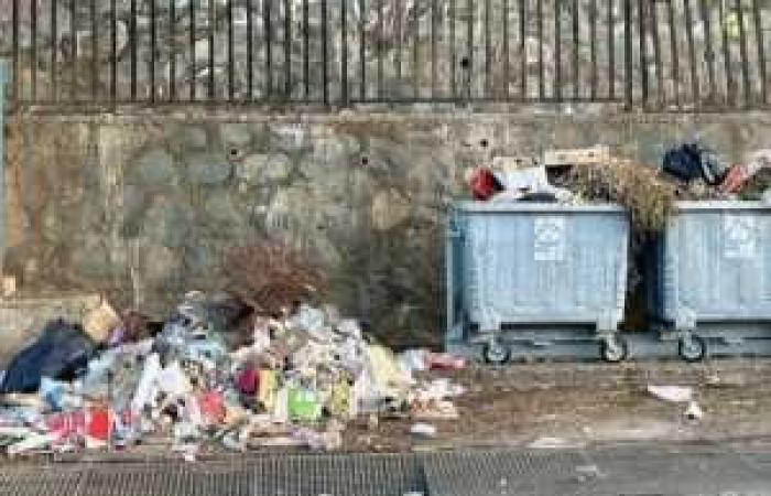 Salud pública Francia: fin de la epidemia de leptospirosis pero sin bajar la guardia