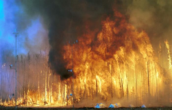 1,5 millones de personas mueren cada año en el mundo por la contaminación provocada por los incendios