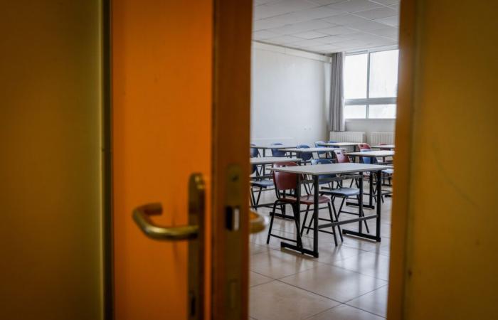 Israel enfrenta una escasez de profesores de inglés, el 40% de los cuales están mal capacitados: ministerio