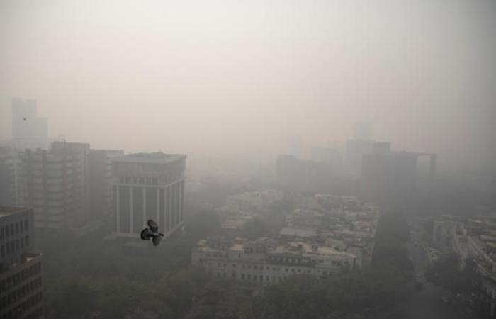 La contaminación del aire por incendios provoca 1,5 millones de muertes al año, según un estudio publicado por “The Lancet”