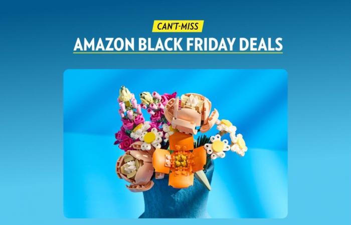 Las 15 mejores ofertas de Lego del Black Friday de Amazon para adultos y niños