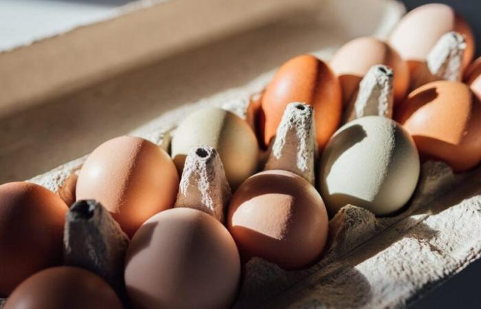 Huevos orgánicos de Costco retirados del mercado por riesgo de salmonela