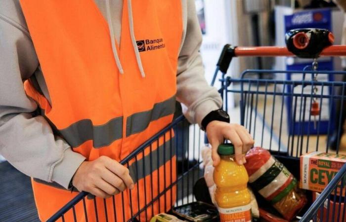 Seis camiones del Banco de Alimentos fueron incendiados en Nimes, provocando daños por valor de casi 500.000 euros