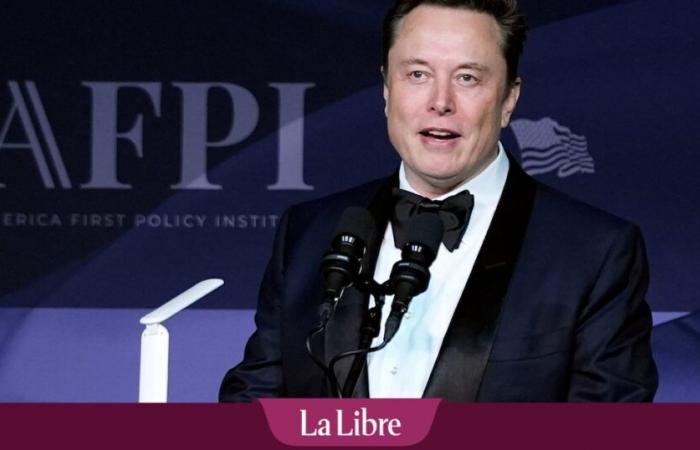 ¿La “extraordinaria influencia” de Elon Musk es un peligro para Estados Unidos?