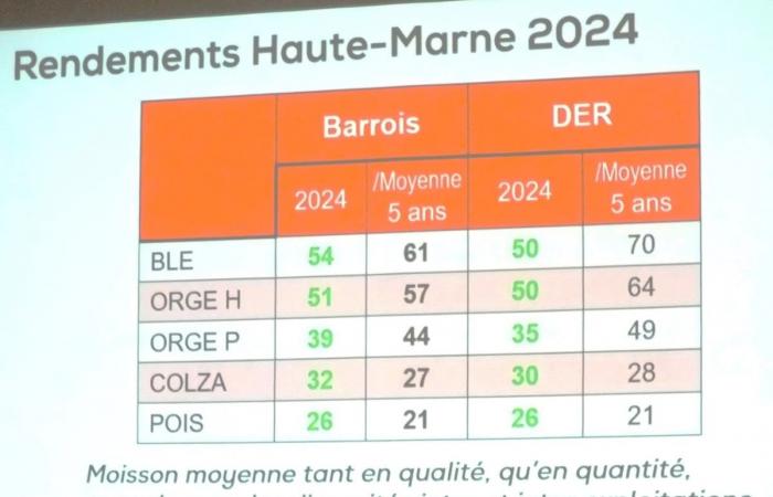 Situación agrícola en Norte-Alto Marne para 2024: un resultado mixto