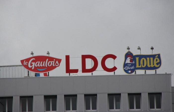 El grupo avícola LDC, con sede en Sablé-sur-Sarthe, intensifica su política de compra de empresas