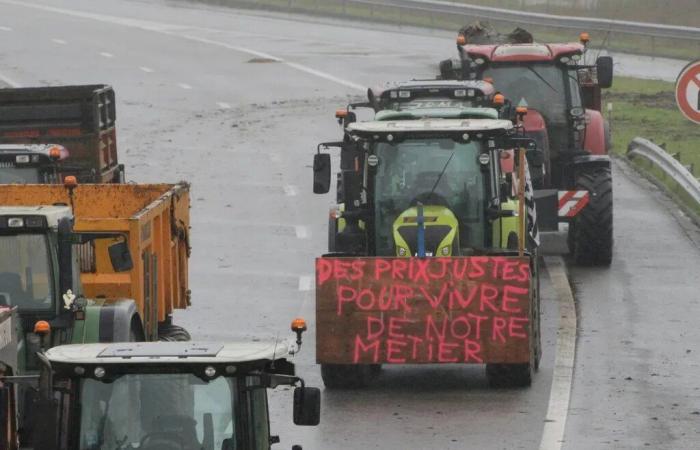 Movilización de los agricultores: el descontento crece, el MSA reacciona en Mayenne