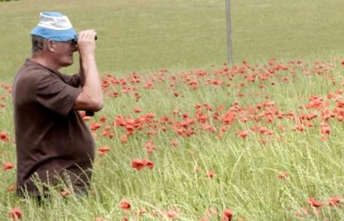 Gégé, un campesino en fuga