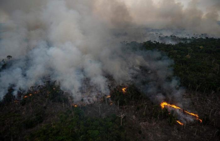 Más frecuente, más intensa… La contaminación atmosférica provocada por los incendios provoca 1,5 millones de muertes al año