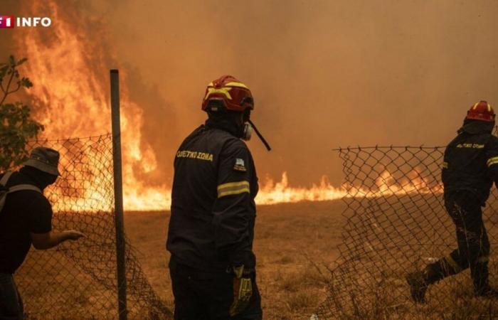 Contaminación del aire: 1,5 millones de muertes cada año en todo el mundo debido a incendios