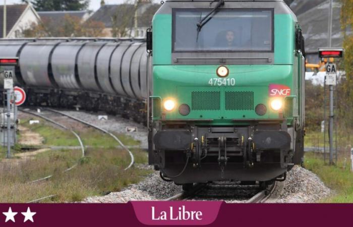 Dos hombres, una estación, un tren y una aventura que acaba en morcilla