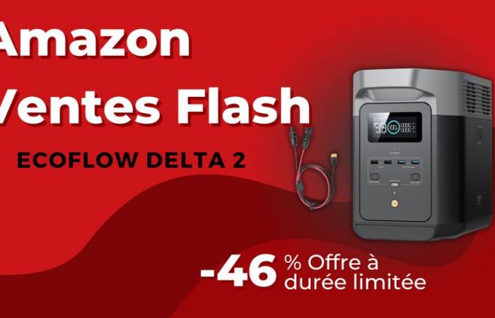 Promoción EcoFlow DELTA 2 en Black Friday: ahorre 550 € en la estación eléctrica portátil de 1800 W con carga rápida y capacidad escalable