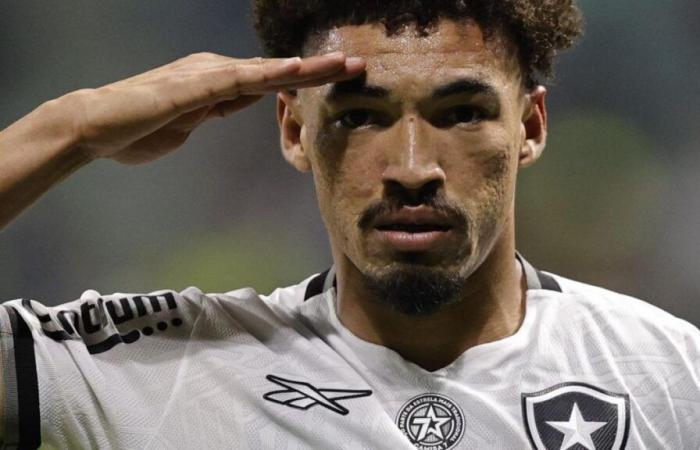 Botafogo, OL: el año turbulento de Adryelson