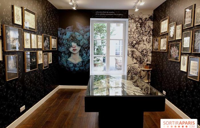 Benjamin Lacombe presenta “Papillon Noir”, la exposición gratuita en la Galerie Gallimard, nuestras fotos