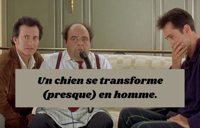 Imposible reconocer estas 10 comedias francesas de los años 90 (muy) mal resumidas