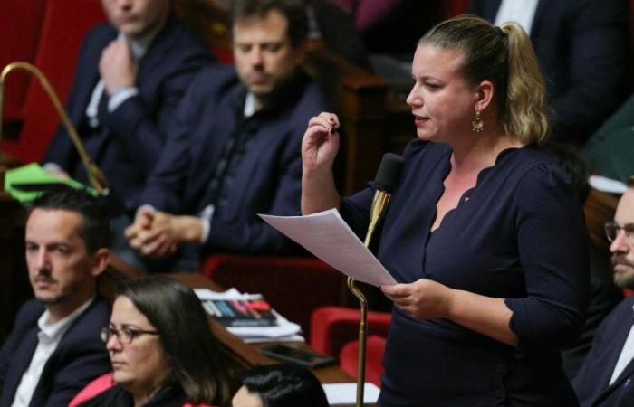 Para La France insoumise, la jornada parlamentaria se convirtió en una pelea a puñetazos en la Asamblea