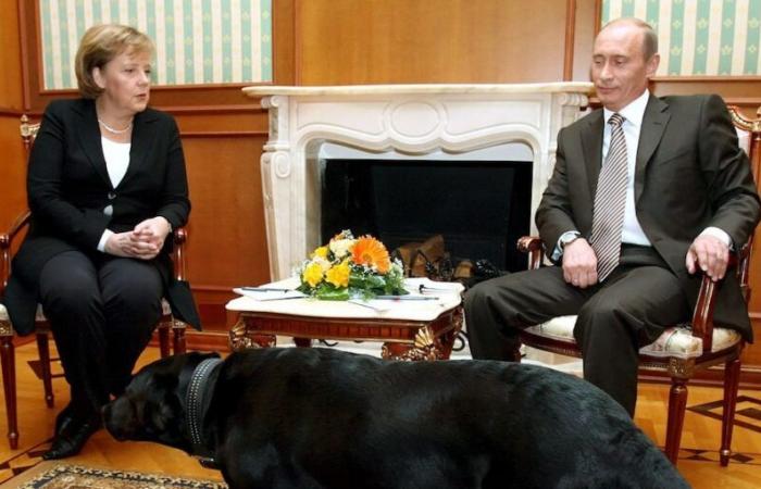 Putin se disculpa con Merkel por el perro en una reunión en Sochi