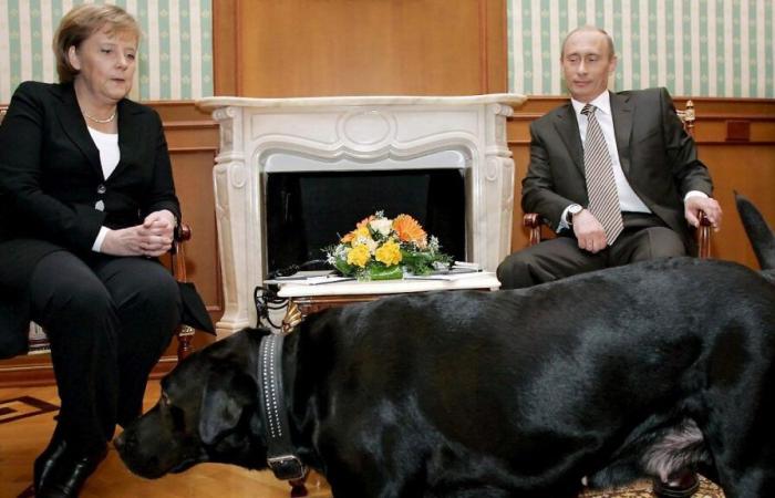 17 años después: Putin se disculpa con Merkel por el escándalo del perro