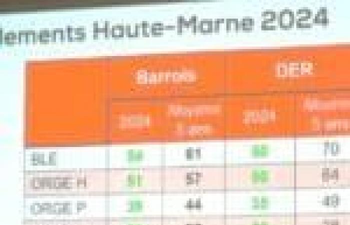 Situación agrícola en Norte-Alto Marne para 2024: un resultado mixto