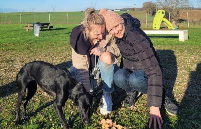 Desaparición de Amalka en el aeropuerto Roissy-Charles de Gaulle: “Se arrojó en brazos de su ama”, finalmente encontró la joven perrita