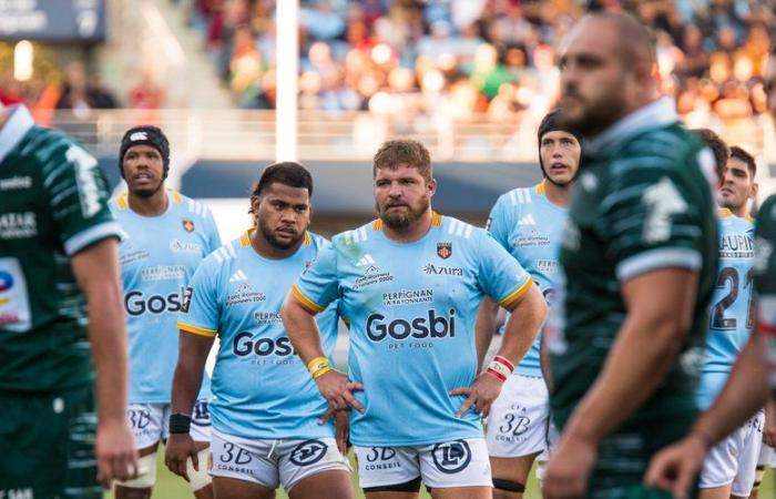 Top 14: “Esperamos con ansias este partido”, dice el pilar derecho de la USAP, Pietro Ceccarelli