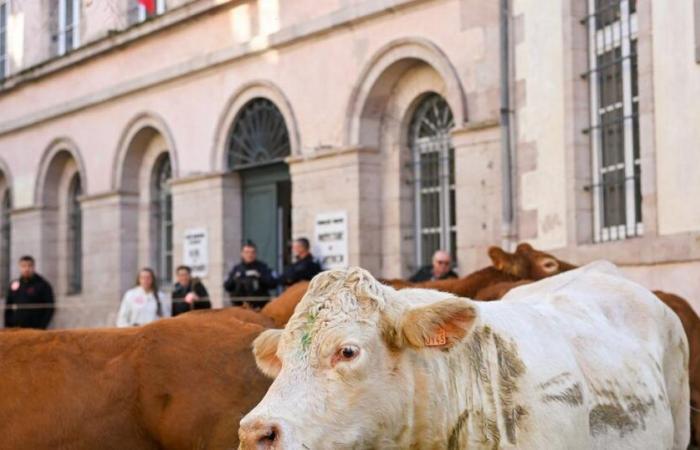 Más de un centenar de agricultores levantan un muro frente al instituto Inrae de París