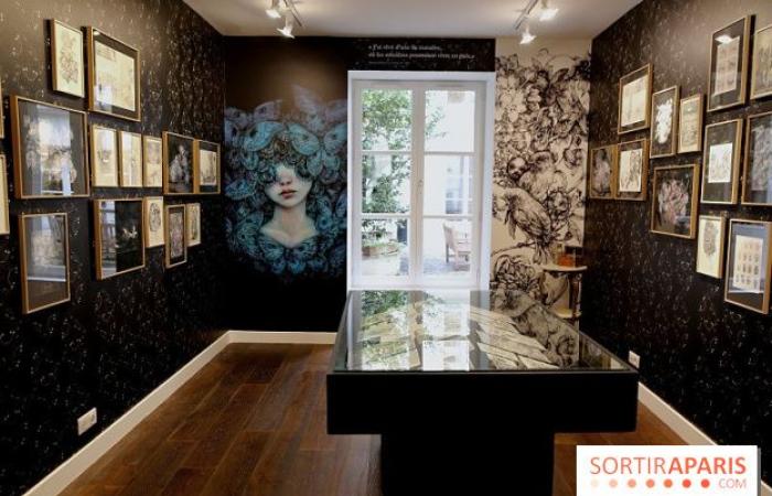 Benjamin Lacombe presenta “Papillon Noir”, la exposición gratuita en la Galerie Gallimard, nuestras fotos