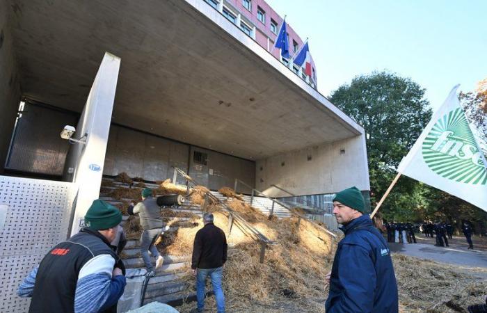 DIRECTO. Ira de los agricultores: manifestación en curso en Toulouse frente a la Ciudad Administrativa, Inrae apuntado en París