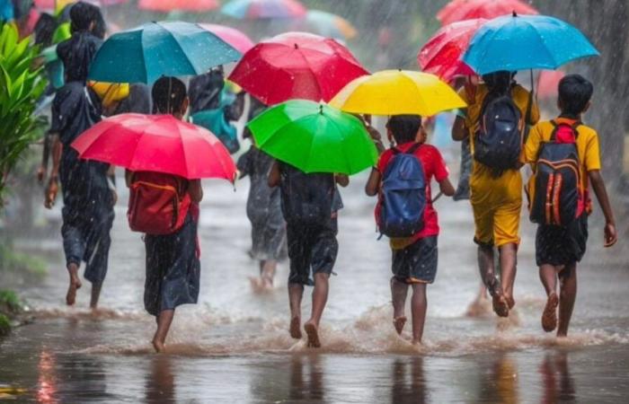 Lluvias en Chennai en 2024: escuelas cerradas y feriado declarado en varios distritos